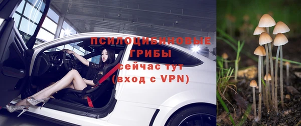 герыч Горняк