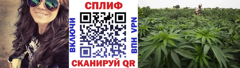 Конопля тримм  Купить закладки  Кызыл 